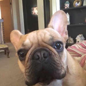 Meet your Posher, Tricia